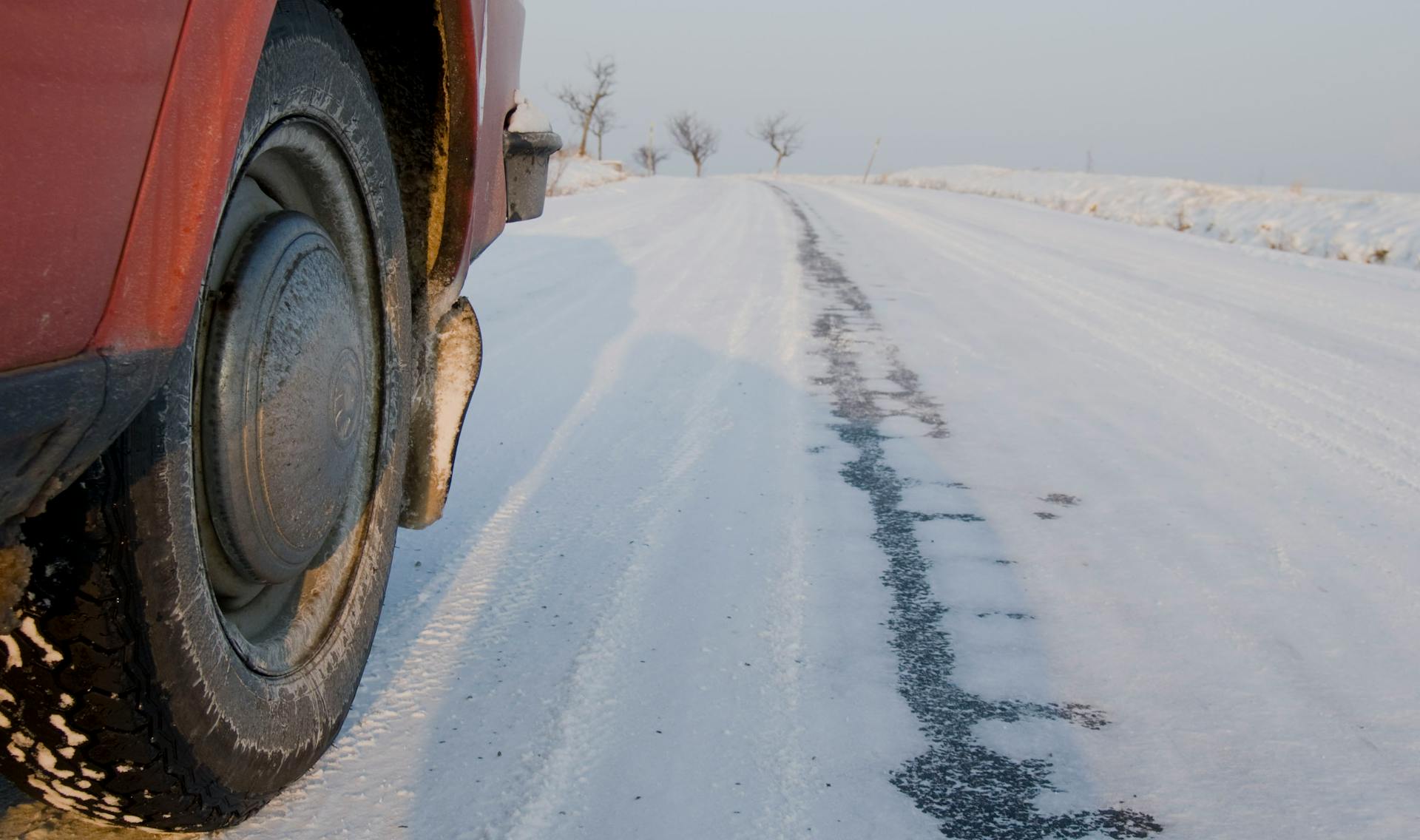 Antifreeze and dogs - a hidden winter danger