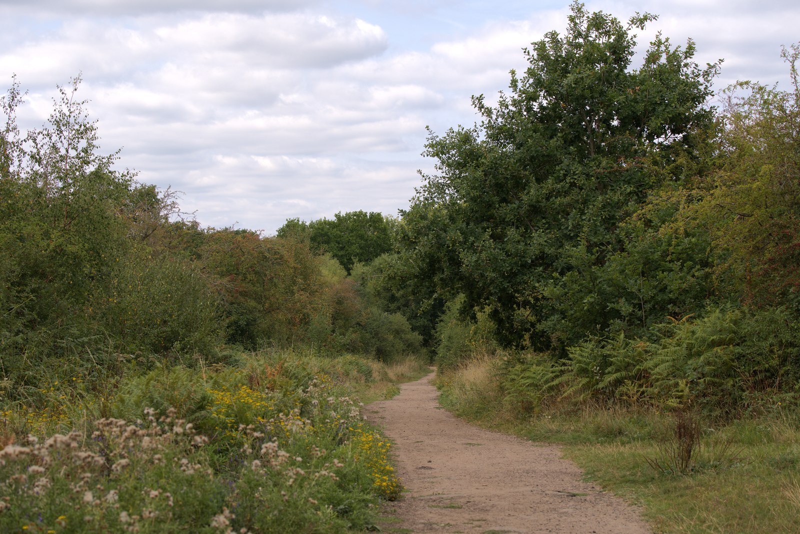 Bookham Common and Fetcham Downs