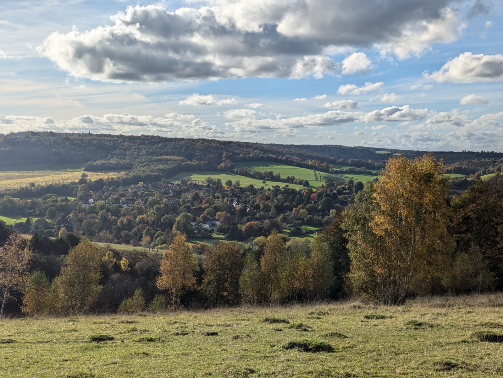 Box Hill Summit Loop