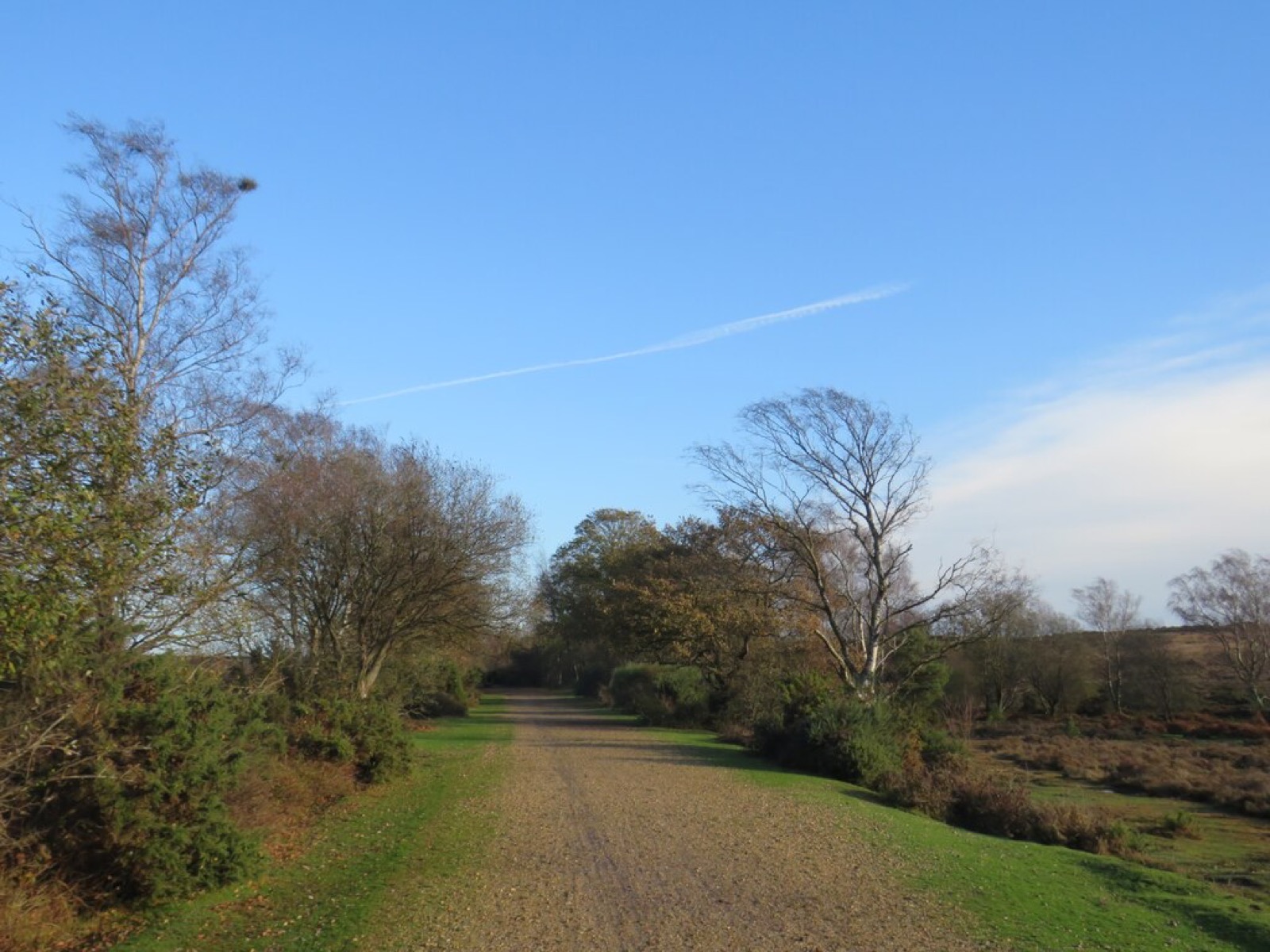 Burley Village and Forest Walks