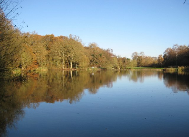 Epsom Common and Stew Ponds