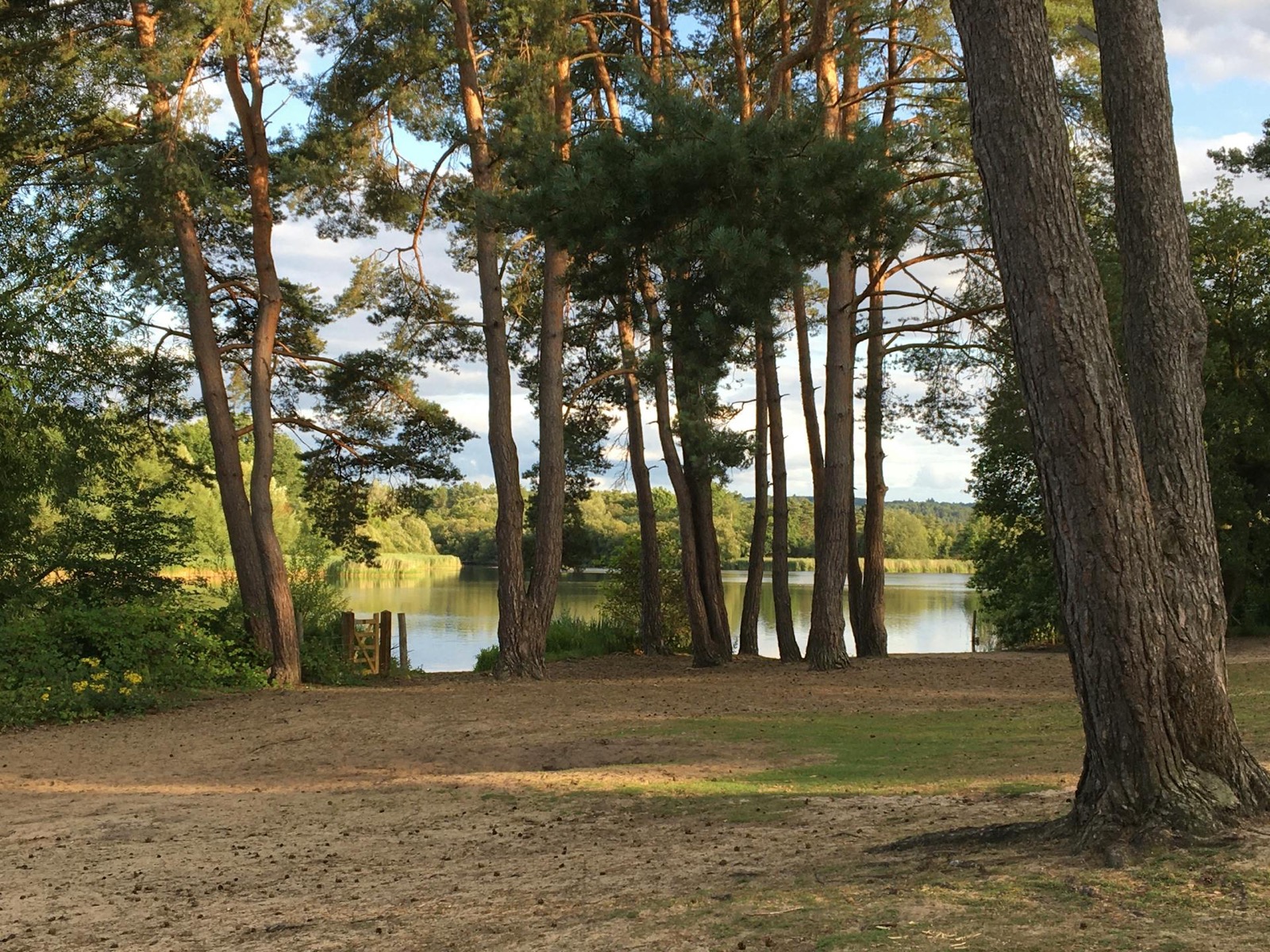 Frensham Great Pond