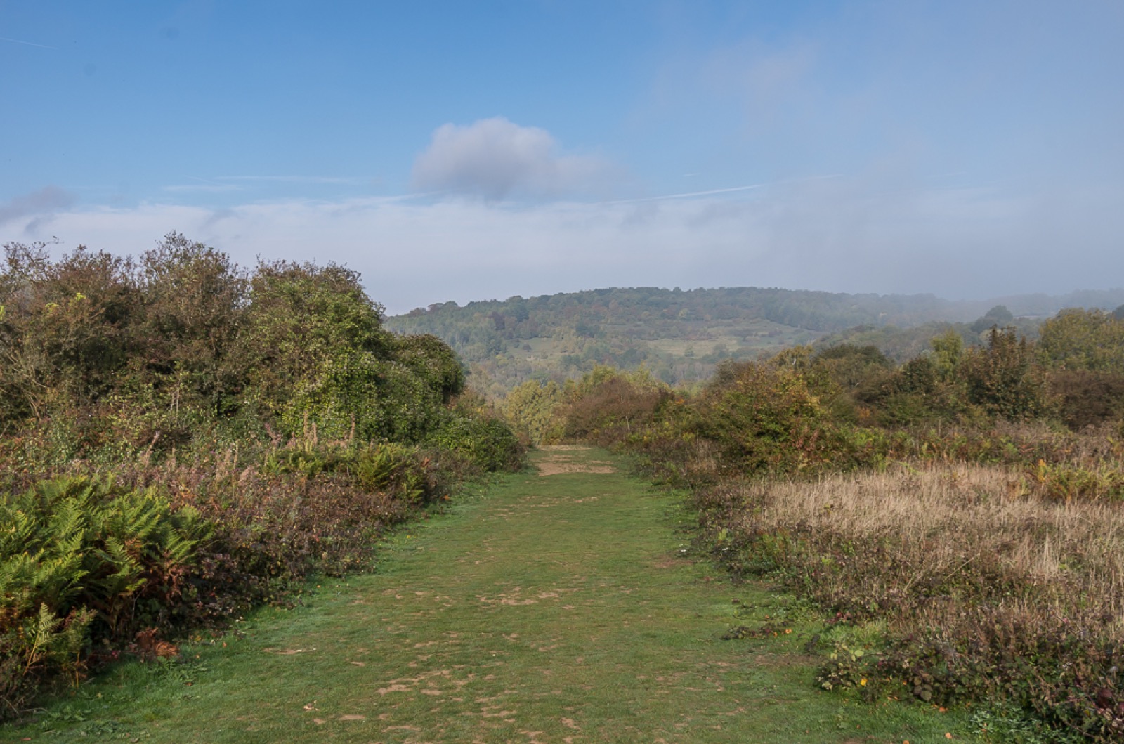 Headley Heath