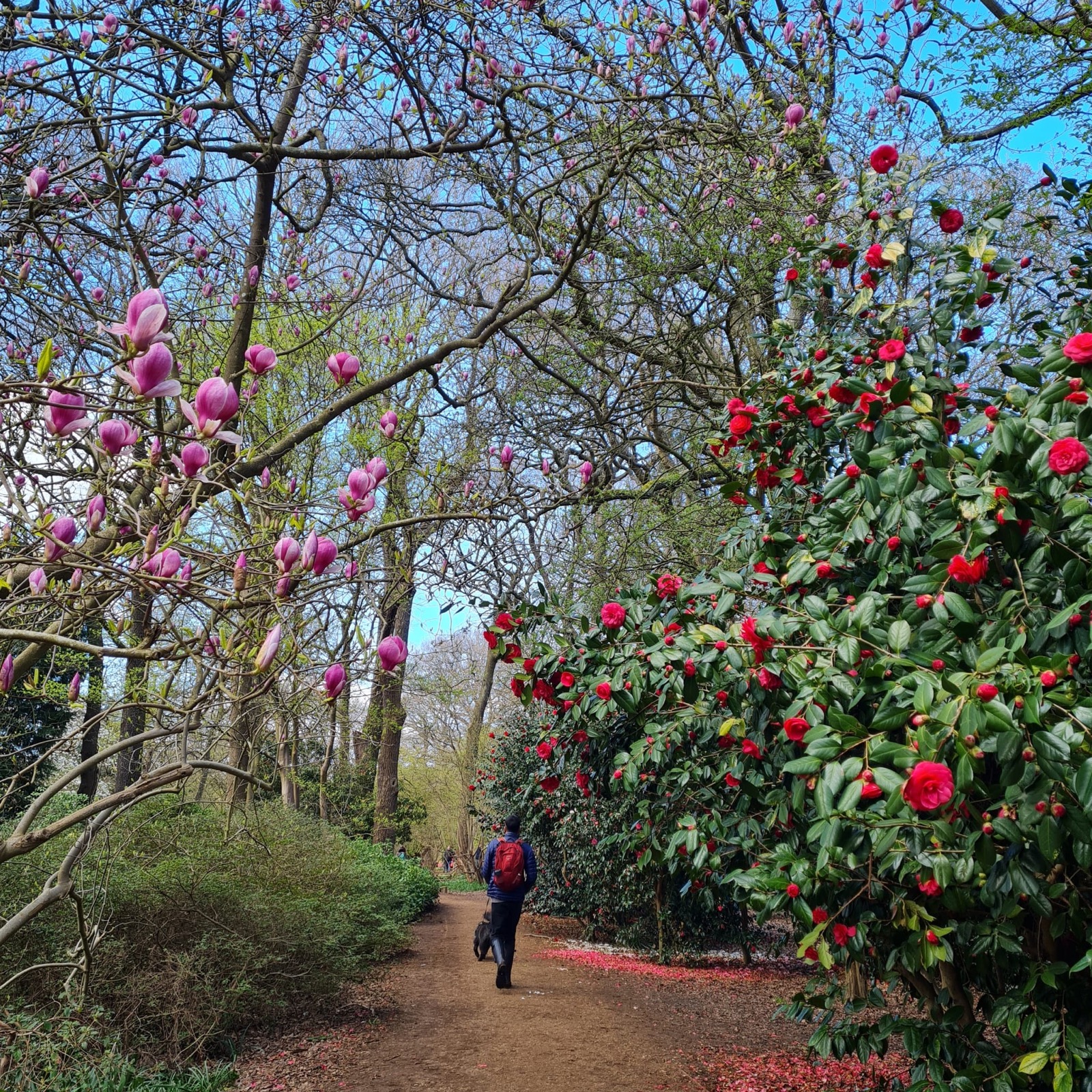 Isabella Plantation