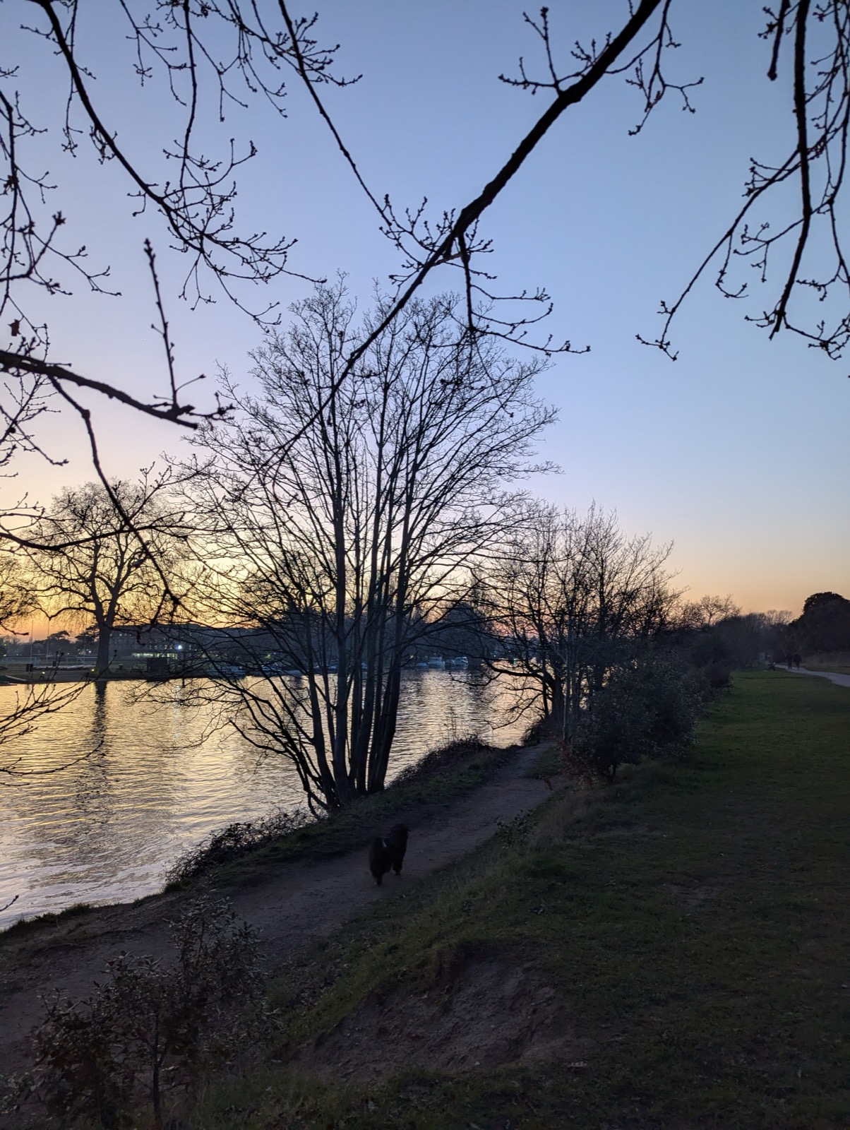 Riverside path towards Teddington