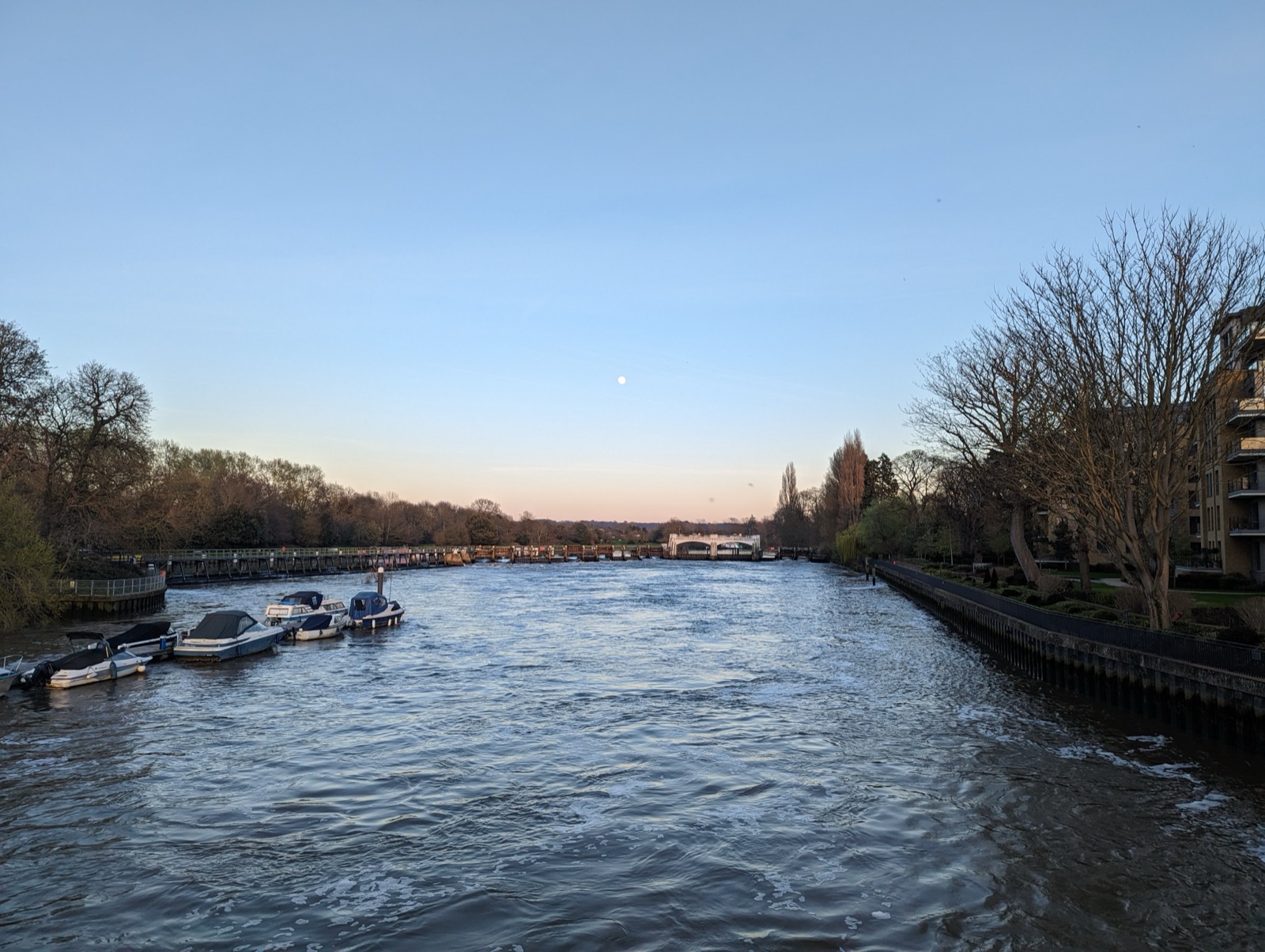 Kingston to Teddington Lock via Canbury Gardens
