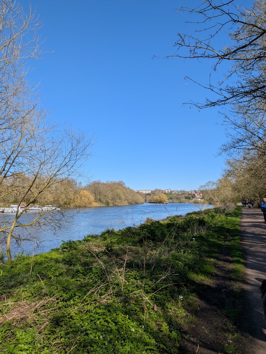 The riverside path looking towards Richmond Hill